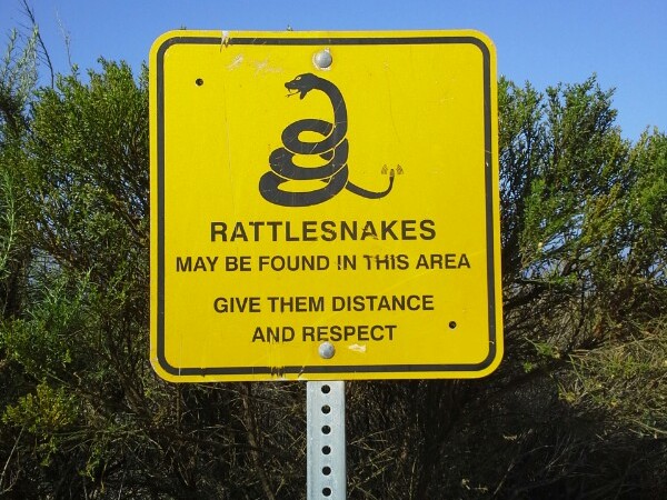 rattlesnake environment