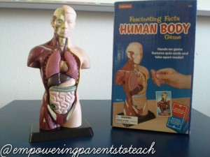 Empowering Parents to Teach- Human Body Game