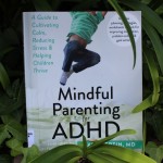 Empowering Parents To Teach: Mindful Parenting for ADHD